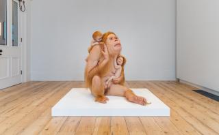 Patricia Piccinini: Kindred, 2021. Installation image, Cromwell Place. Photo by Lucy Emms
